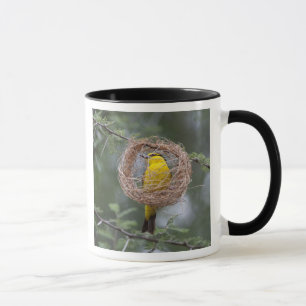 Africa. Tanzania. Female Black-Necked Weaver Mug