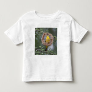 Africa. Tanzania. Female Black-Necked Weaver Toddler T-Shirt