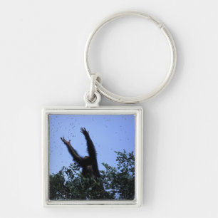Africa, Tanzania, Glitter reaches for flying Key Ring