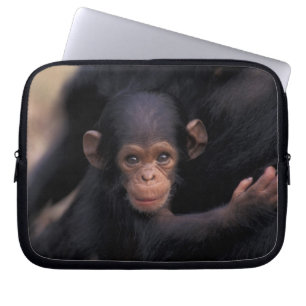 Africa, Tanzania, Gombe Nat'l Park Laptop Sleeve