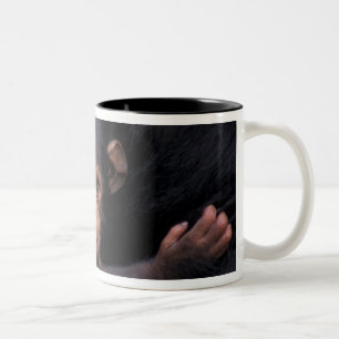 Africa, Tanzania, Gombe Nat'l Park Two-Tone Coffee Mug