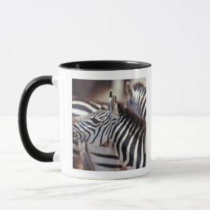 Africa,Tanzania,herd of zebras Mug