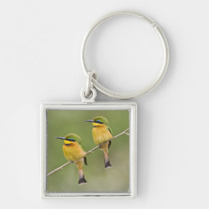 Africa. Tanzania. Little Bee Eaters at Manyara Key Ring