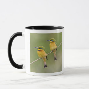 Africa. Tanzania. Little Bee Eaters at Manyara Mug