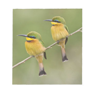 Africa. Tanzania. Little Bee Eaters at Manyara Notepad