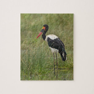 Africa. Tanzania. Male Saddle-billed Stork Jigsaw Puzzle