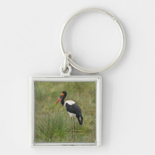 Africa. Tanzania. Male Saddle-billed Stork Key Ring