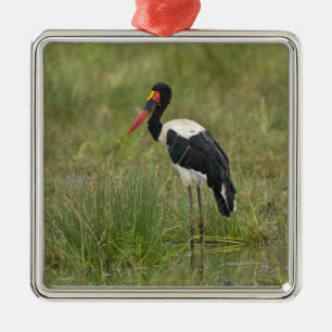 Africa. Tanzania. Male Saddle-billed Stork Metal Ornament
