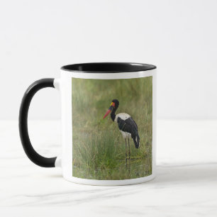 Africa. Tanzania. Male Saddle-billed Stork Mug