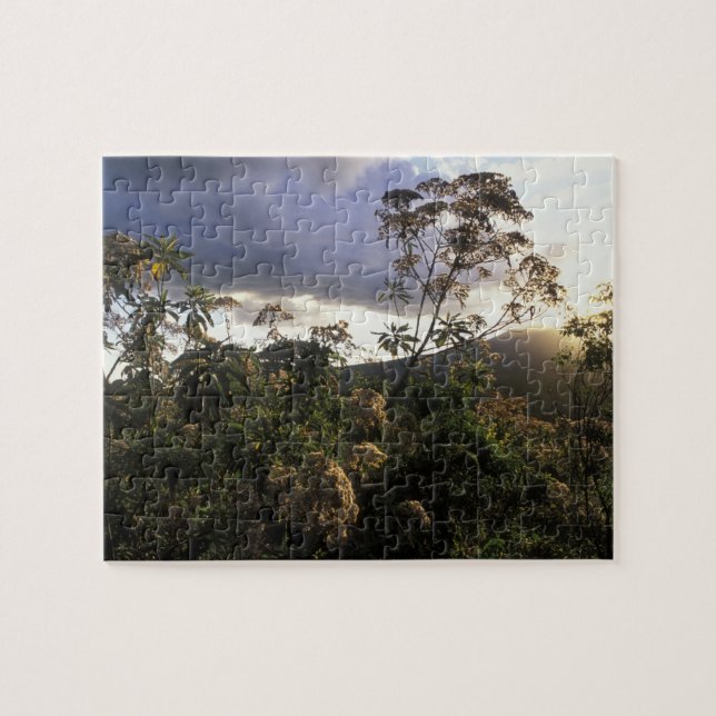 Africa, Tanzania, Ngorongoro Conservation Area, Jigsaw Puzzle (Horizontal)