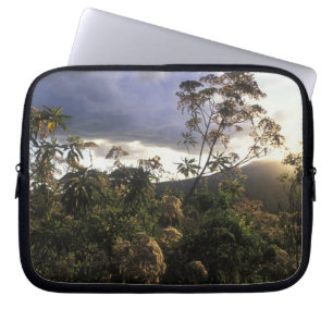Africa, Tanzania, Ngorongoro Conservation Area, Laptop Sleeve