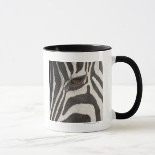 Africa, Tanzania, Ngorongoro Conservation Area Mug