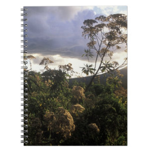 Africa, Tanzania, Ngorongoro Conservation Area, Notebook