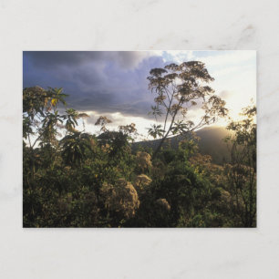 Africa, Tanzania, Ngorongoro Conservation Area, Postcard