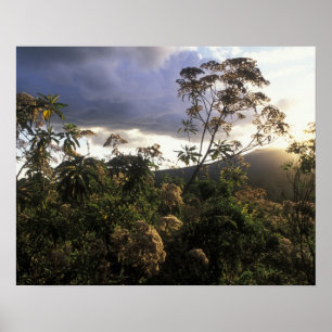 Africa, Tanzania, Ngorongoro Conservation Area, Poster
