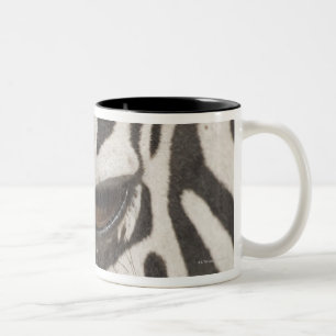 Africa, Tanzania, Ngorongoro Conservation Area Two-Tone Coffee Mug