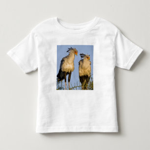 Africa. Tanzania. Secretary Birds at Ndutu Toddler T-Shirt