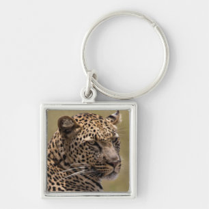 Africa, Tanzania, Serengeti. Leopard Key Ring