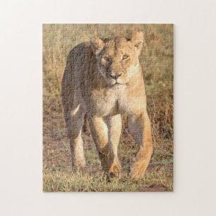 Africa, Tanzania, Serengeti. Lion And Lioness Jigsaw Puzzle