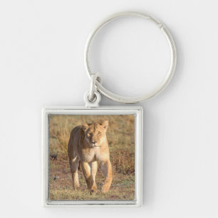 Africa, Tanzania, Serengeti. Lion And Lioness Key Ring
