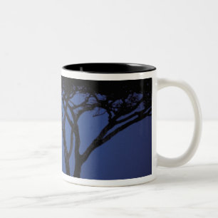 Africa, Tanzania, Tarangire. Acacia tree in Two-Tone Coffee Mug