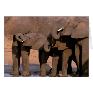 Africa, Tanzania, Tarangire National Park.