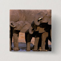 Africa, Tanzania, Tarangire National Park.