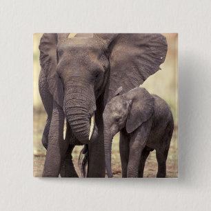 Africa, Tanzania, Tarangire National Park. 2 15 Cm Square Badge