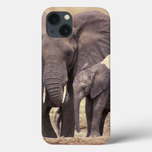 Africa, Tanzania, Tarangire National Park. 2 iPhone 13 Case