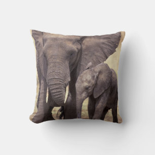 Africa, Tanzania, Tarangire National Park. 2 Cushion