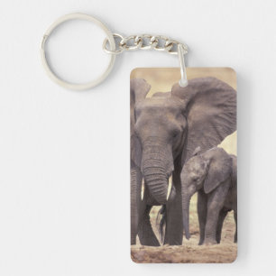 Africa, Tanzania, Tarangire National Park. 2 Key Ring
