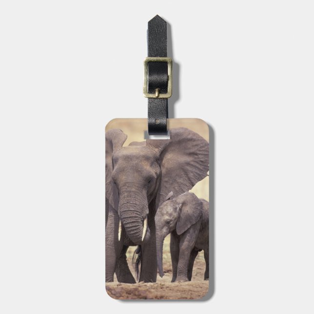 Africa, Tanzania, Tarangire National Park. 2 Luggage Tag (Front Vertical)
