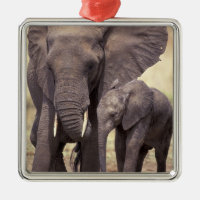 Africa, Tanzania, Tarangire National Park. 2