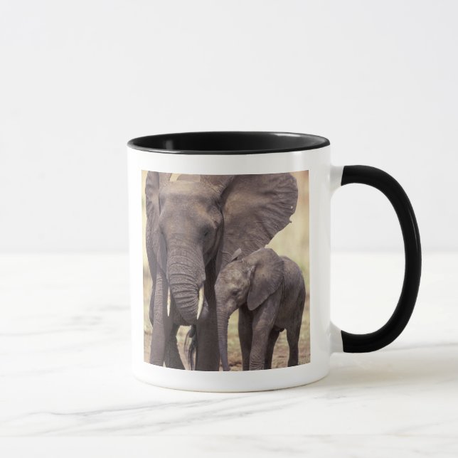 Africa, Tanzania, Tarangire National Park. 2 Mug (Right)