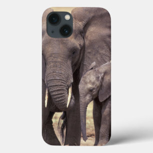 Africa, Tanzania, Tarangire National Park iPhone 13 Case