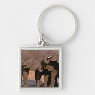 Africa, Tanzania, Tarangire National Park. Key Ring