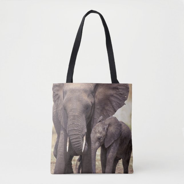 Africa, Tanzania, Tarangire National Park Tote Bag (Front)