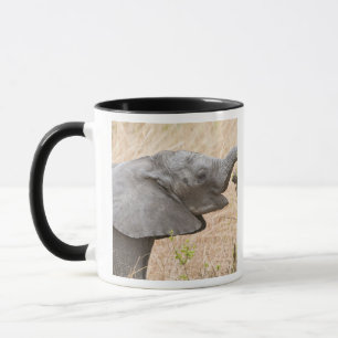 Africa. Tanzania. Young Elephant at Tarangire Mug