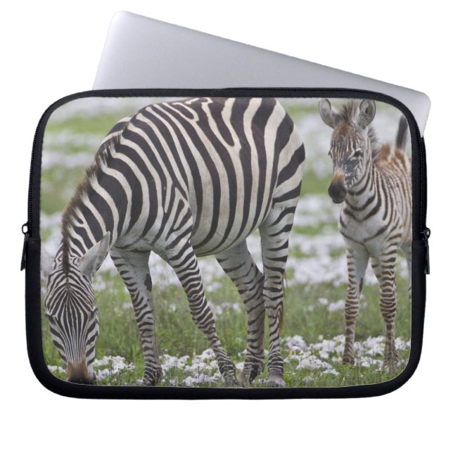 Africa. Tanzania. Zebra mother and colt Laptop Sleeve (Front)