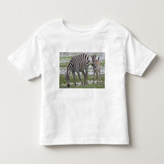 Africa. Tanzania. Zebra mother and colt Toddler T-Shirt (Front)