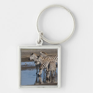 Africa. Tanzania. Zebras drinking at Ndutu Key Ring