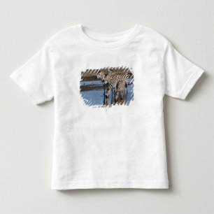 Africa. Tanzania. Zebras drinking at Ndutu Toddler T-Shirt