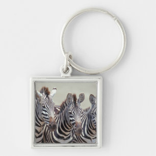 Africa, Tanzania, zebras Key Ring