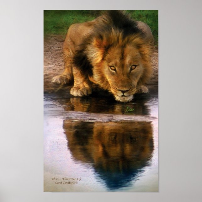 Africa - Thirst For Life Art Poster/Print Poster (Front)