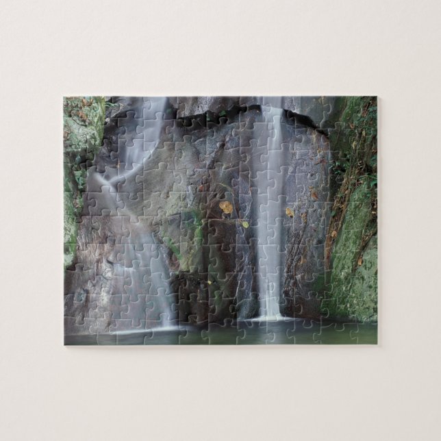 Africa, Uganda, Bwindi Impenetrable rainforest, Jigsaw Puzzle (Horizontal)