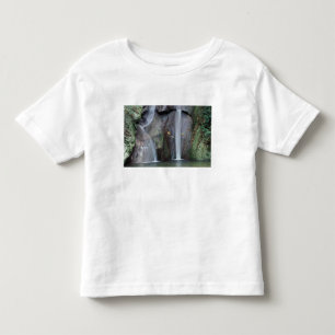 Africa, Uganda, Bwindi Impenetrable rainforest, Toddler T-Shirt