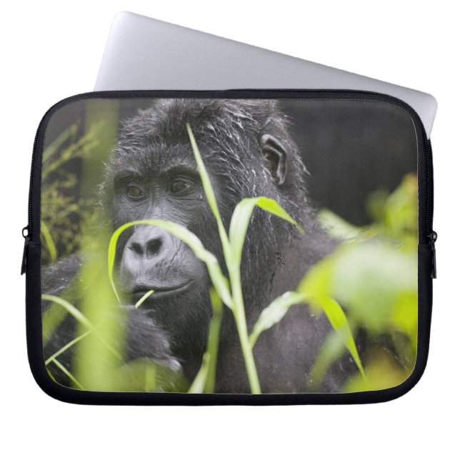 Africa Uganda, Bwindi Laptop Sleeve (Front)