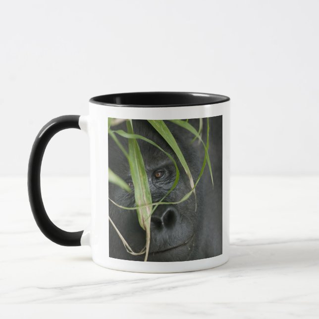 Africa, Uganda, Bwindi Mug (Left)