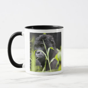 Africa Uganda, Bwindi Mug