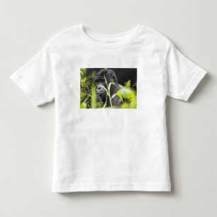 Africa Uganda, Bwindi Toddler T-Shirt
